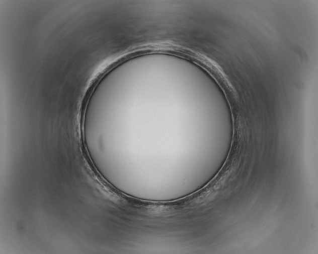 X0000111461176200907271245