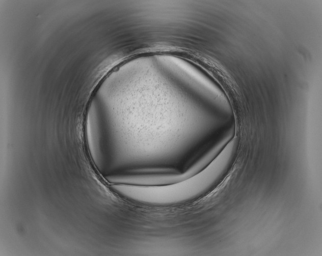 X0000111461177200907271245