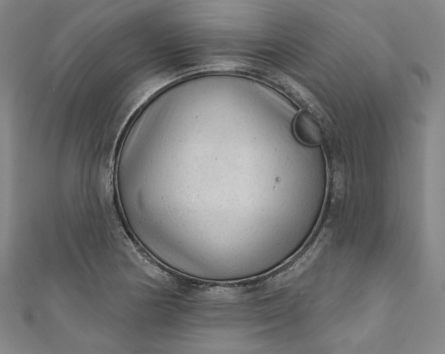 X0000111461178200907271245