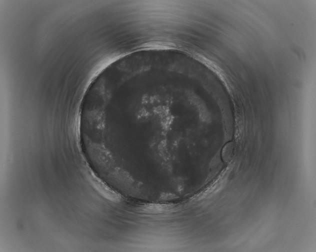 X0000111461179200907271245