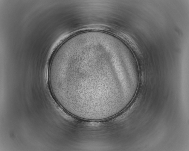 X0000111461180200907271245