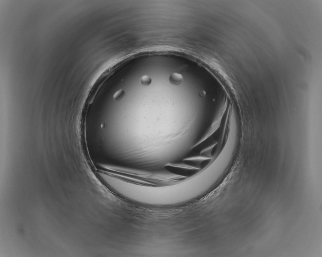 X0000111461181200907271245