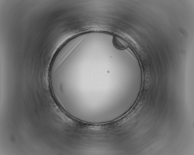 X0000111461182200907271245