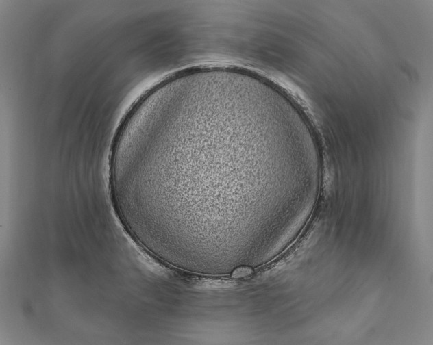 X0000111461183200907271245