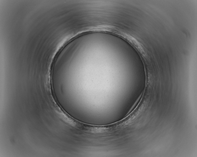 X0000111461184200907271245