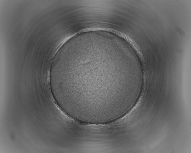 X0000111461185200907271245