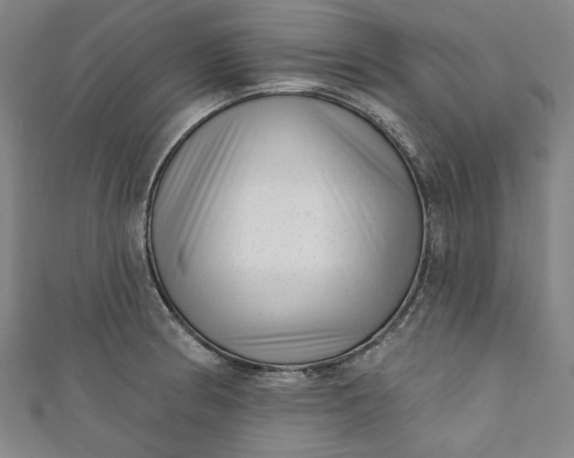 X0000111461186200907271245