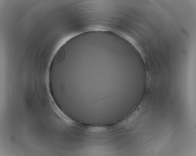 X0000111461187200907271245