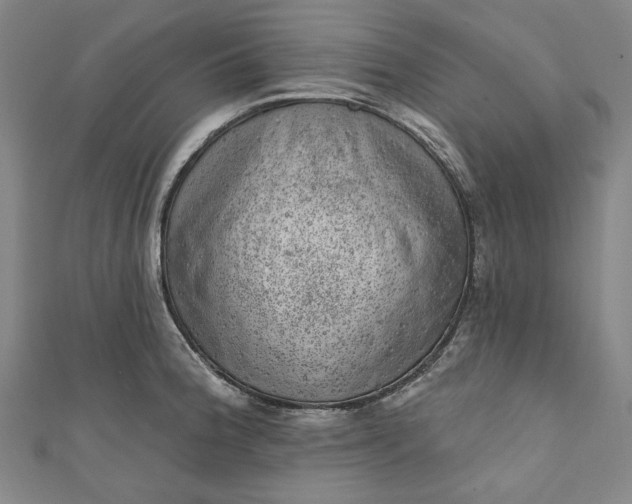 X0000111461188200907271245