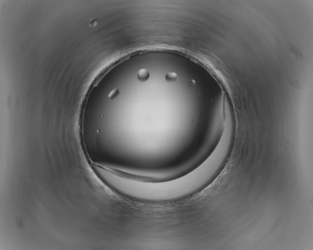 X0000111461189200907271245