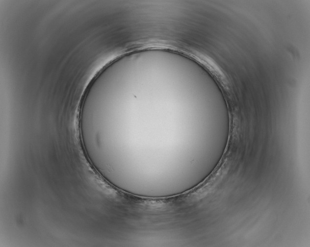 X0000111461190200907271245