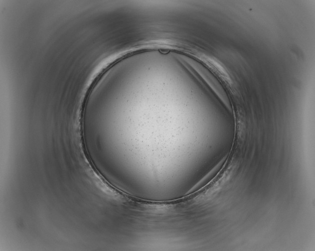 X0000111461192200907271245