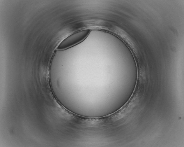 X0000111461193200907271245