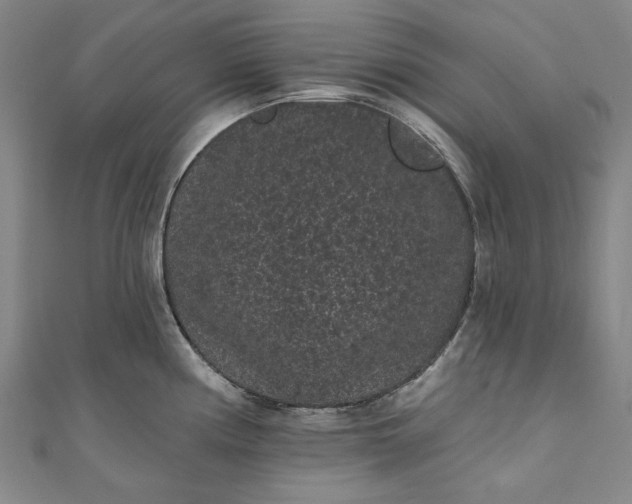 X0000111461194200907271245