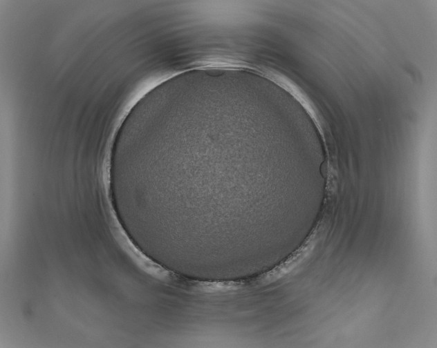 X0000111461195200907271245