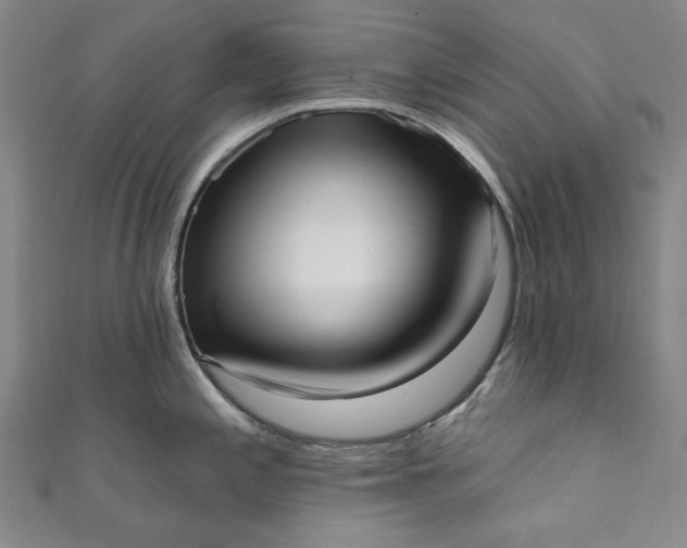 X0000111461197200907271245