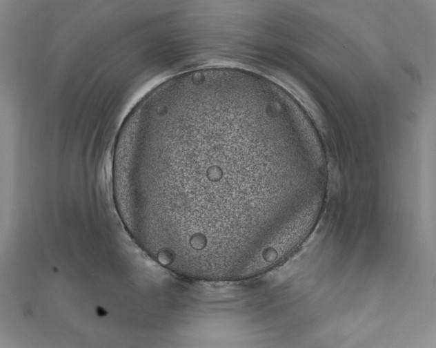 X0000111461198200907271245