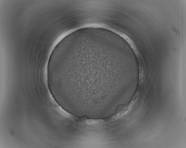 X0000111461199200907271245