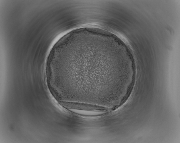 X0000111461200200907271245