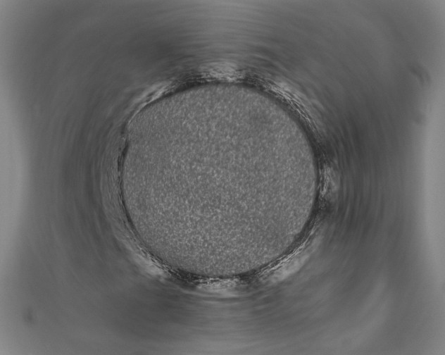 X0000111461201200907271244