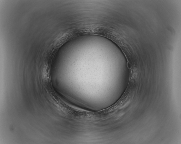 X0000111461202200907271244