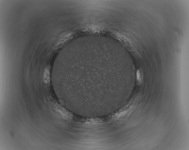 X0000111461203200907271244