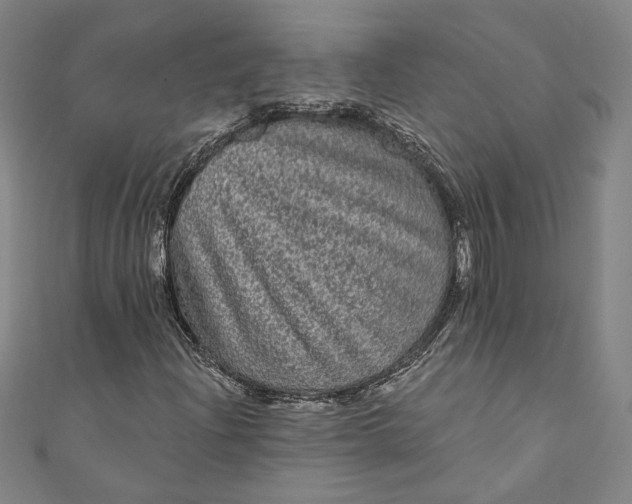 X0000111461204200907271244