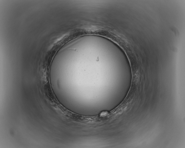 X0000111461205200907271244