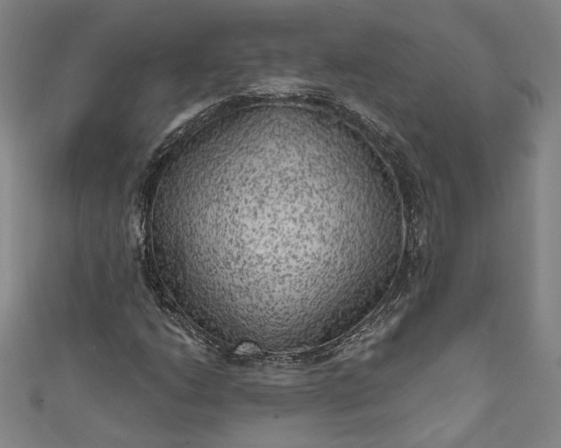 X0000111461206200907271244