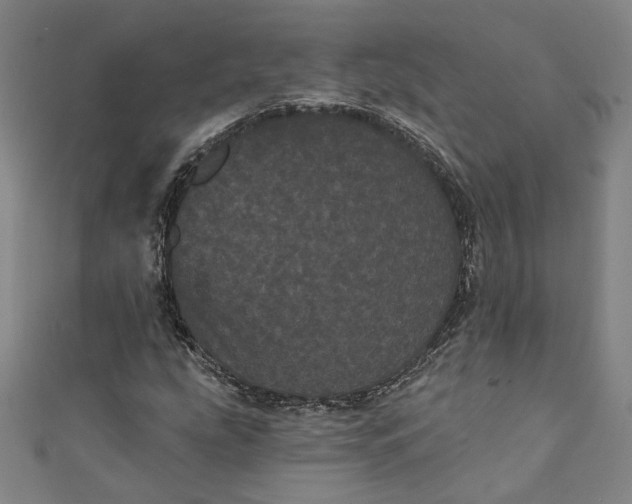 X0000111461207200907271244