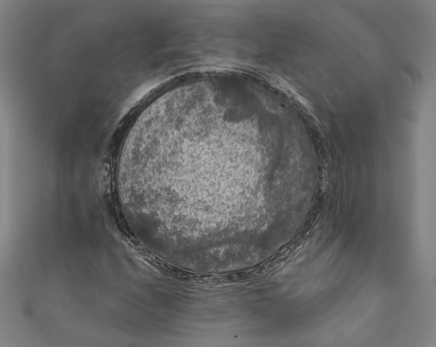 X0000111461208200907271244