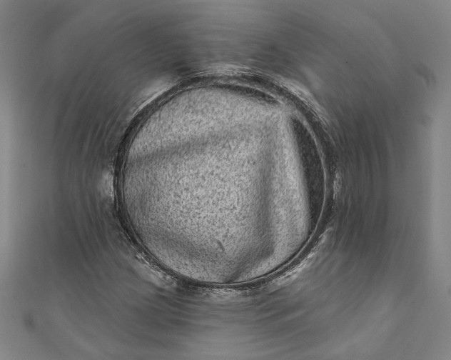 X0000111461209200907271244