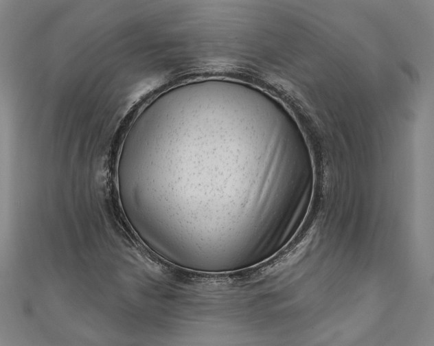 X0000111461210200907271244