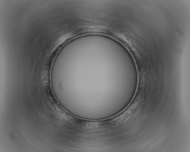 X0000111461211200907271244