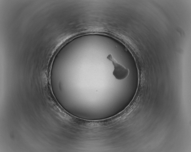 X0000111461212200907271244