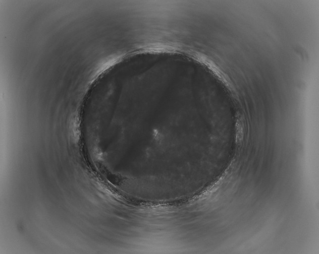 X0000111461213200907271244