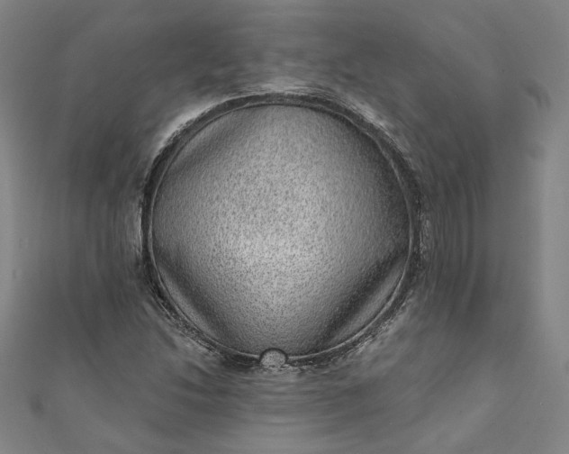 X0000111461214200907271244