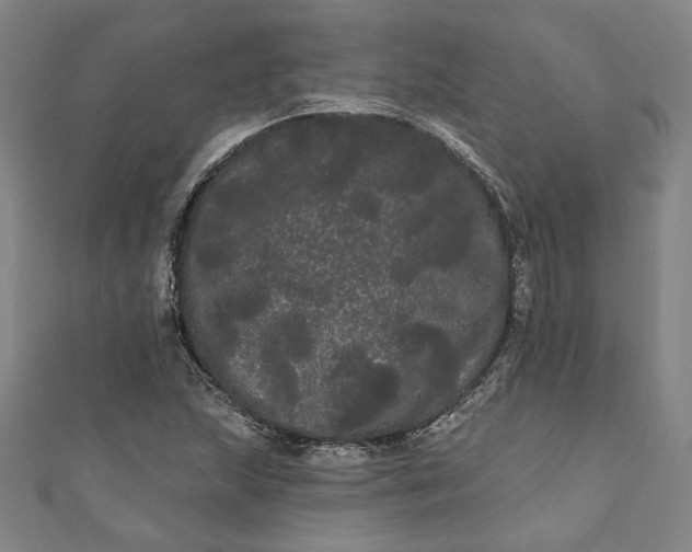 X0000111461215200907271244