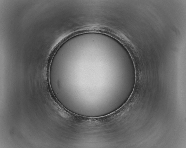 X0000111461216200907271244