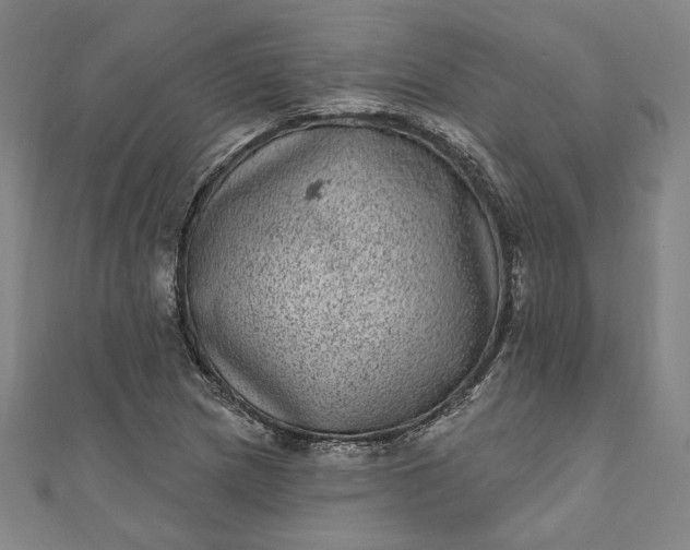 X0000111461217200907271244