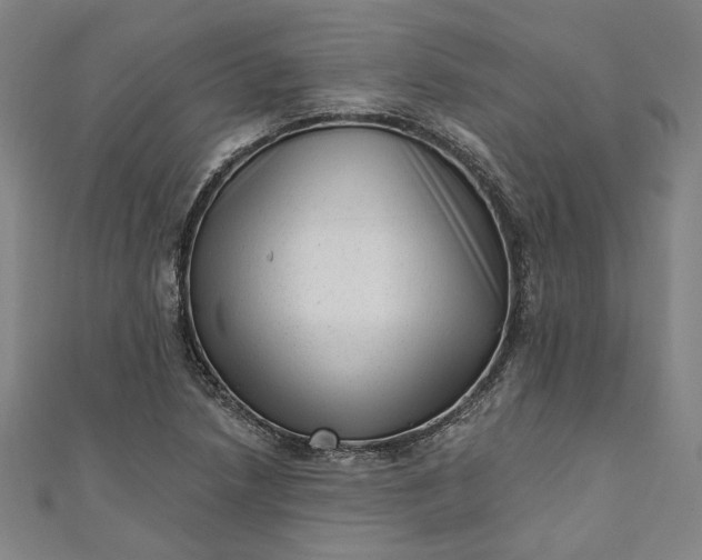 X0000111461218200907271244