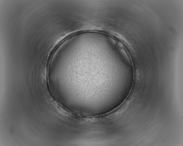 X0000111461220200907271244