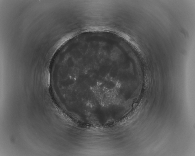 X0000111461221200907271244