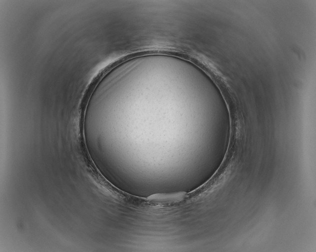 X0000111461222200907271244