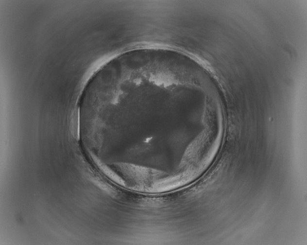 X0000111461223200907271244