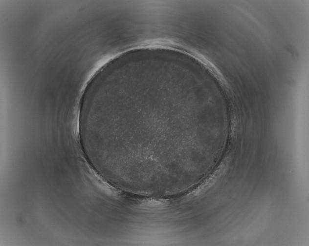 X0000111461224200907271244