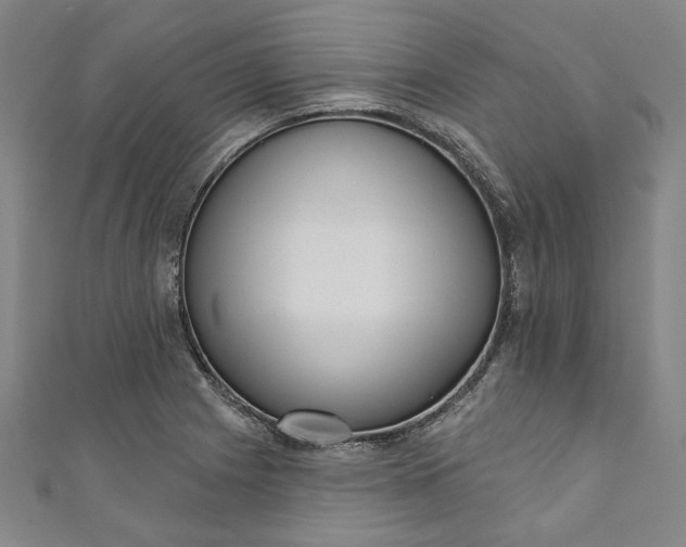 X0000111461225200907271244