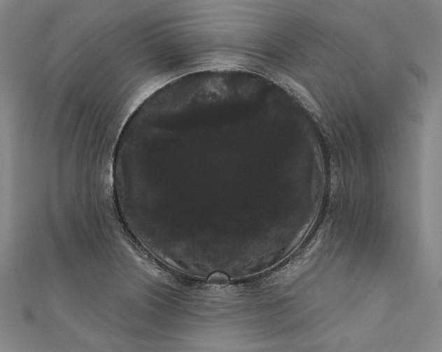 X0000111461226200907271244