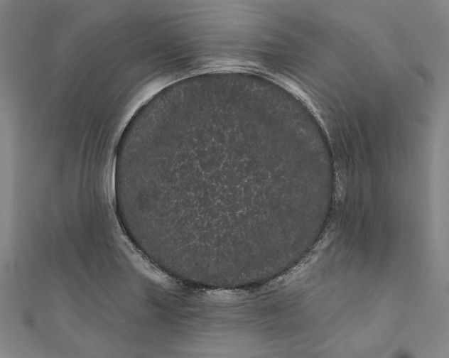 X0000111461227200907271244