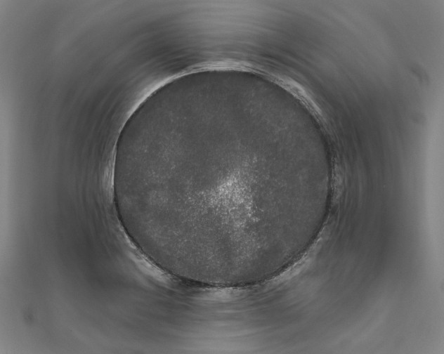 X0000111461228200907271244